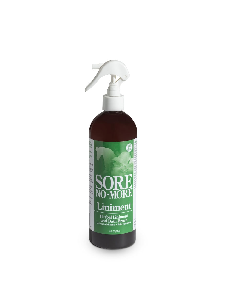 Sore No-More Liniment from Arenus - herbal leg brace for horses