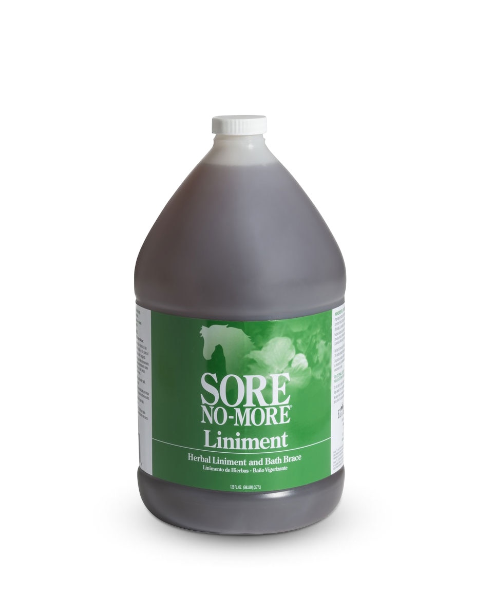 Sore No-More Liniment from Arenus - herbal leg brace for horses