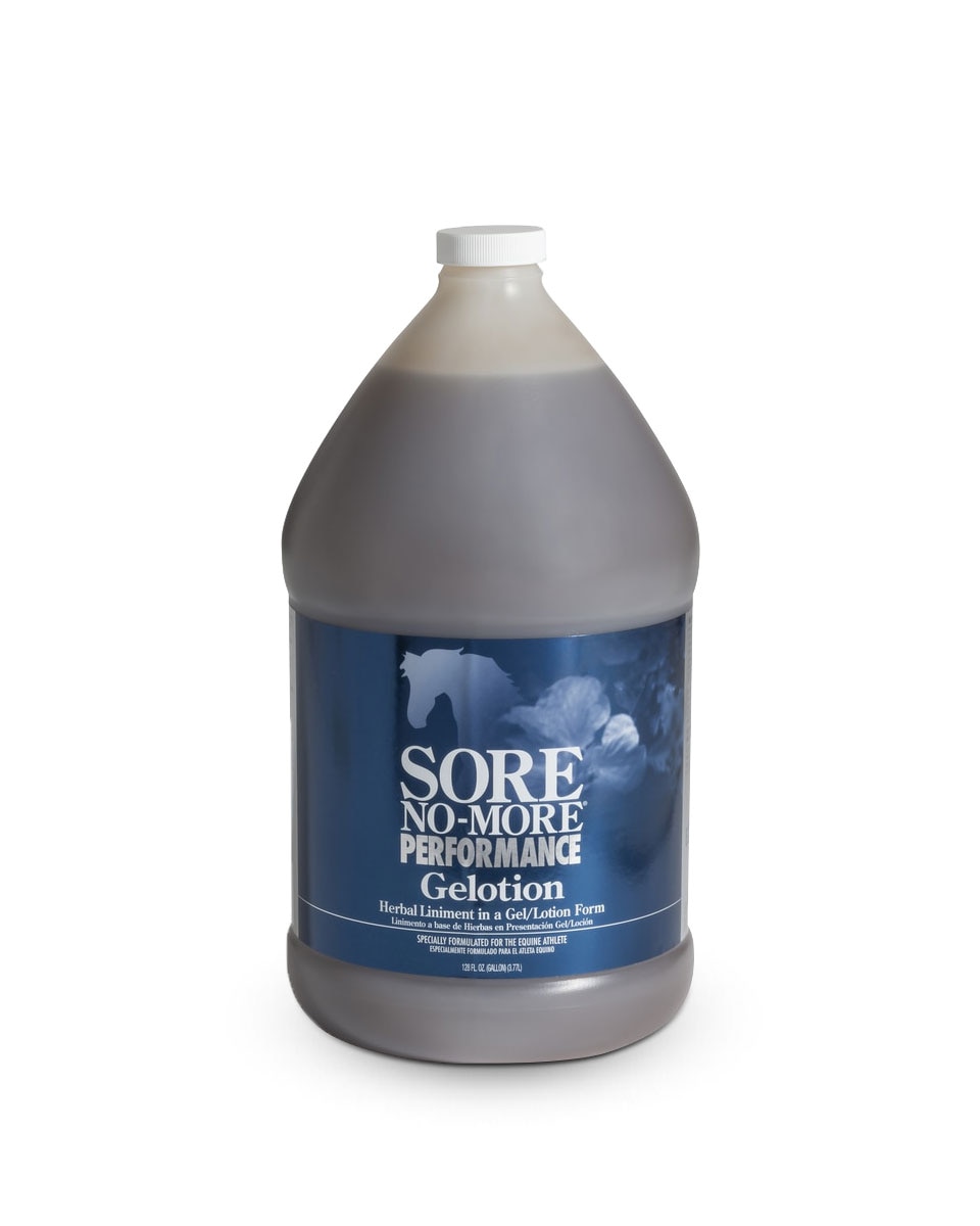 Sore No-More Performance Gelotion from Arenus - for horses muscles