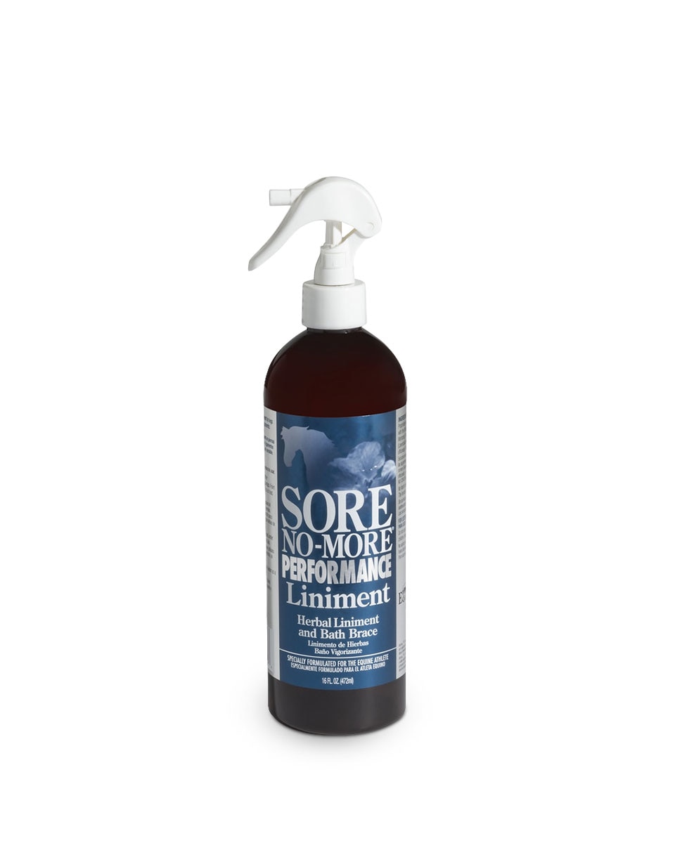 Sore No-More Liniment from Arenus - herbal liniment and bath brace for horses