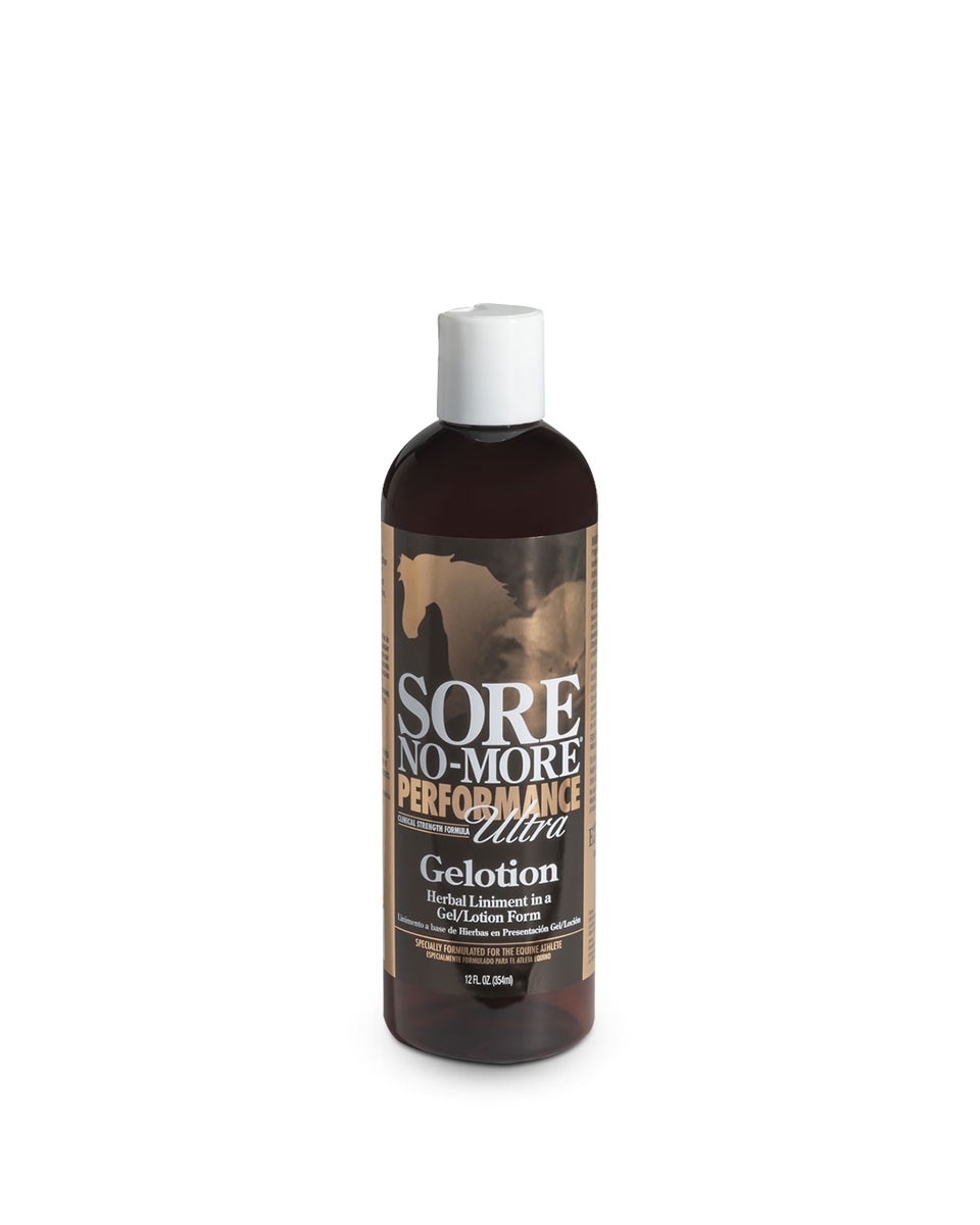 Sore No-More Performance Ultra Gelotion from Arenus - for horses muscles