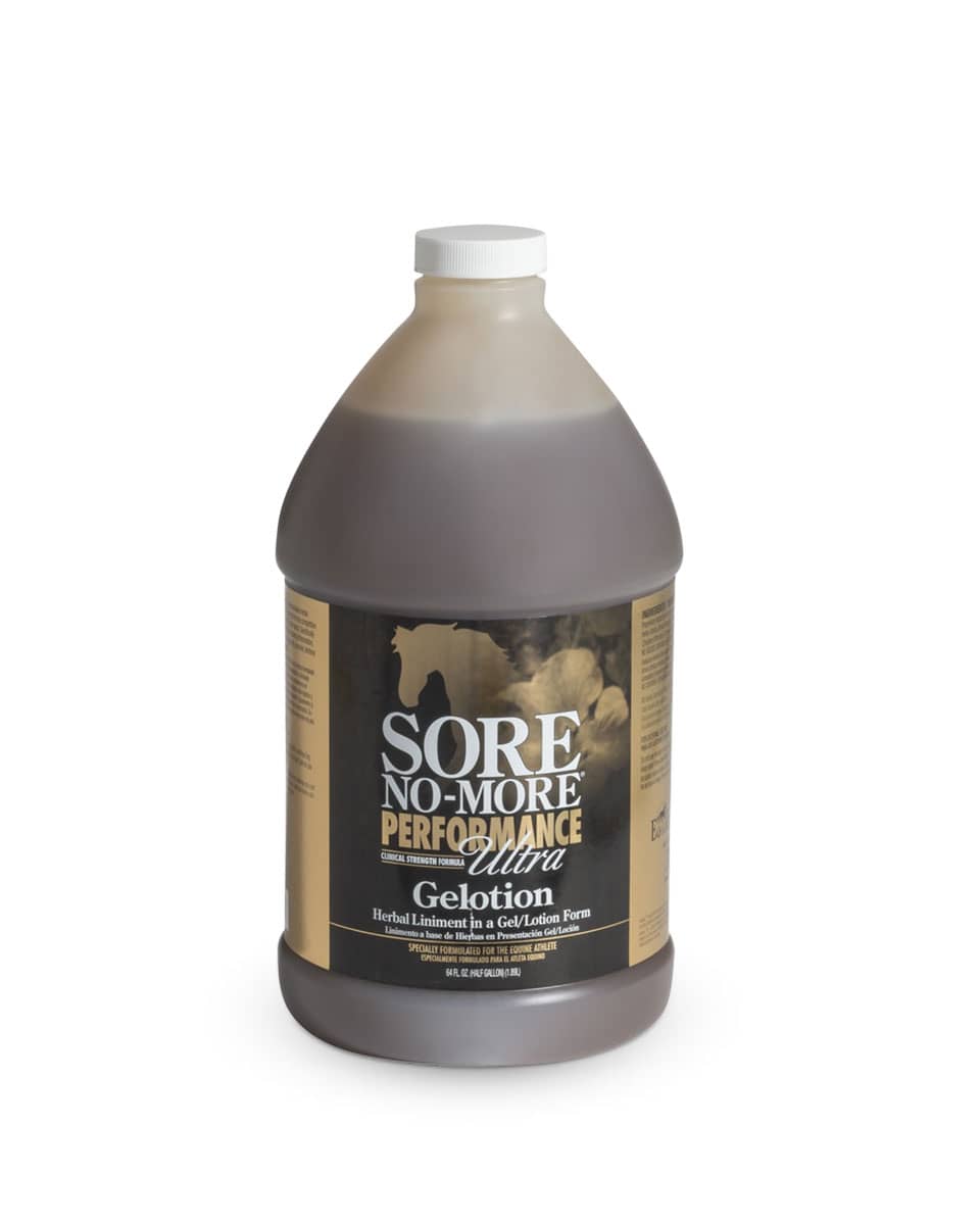 Sore No-More Performance Ultra Gelotion from Arenus - for horses muscles