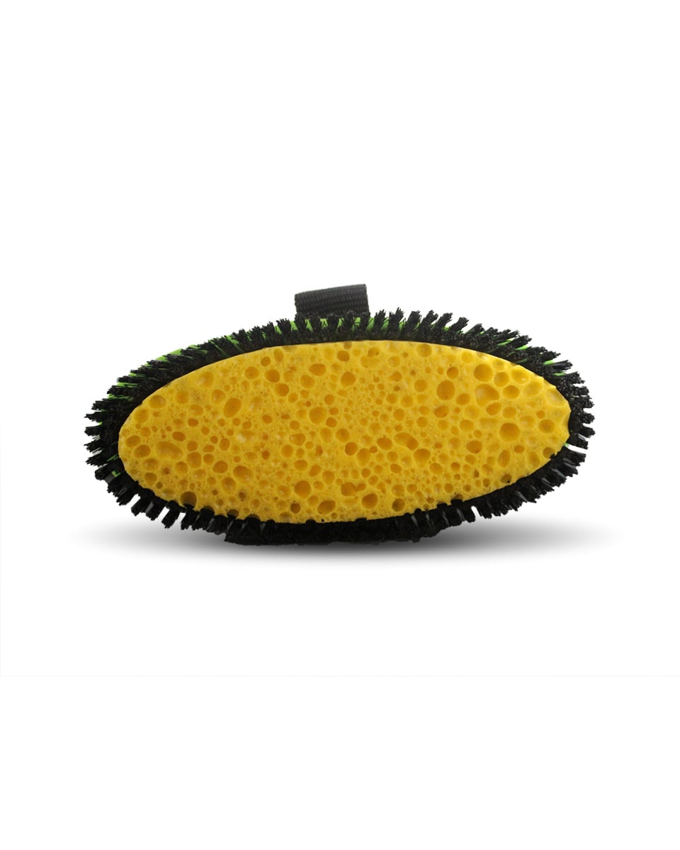 Haas Sponge Brush