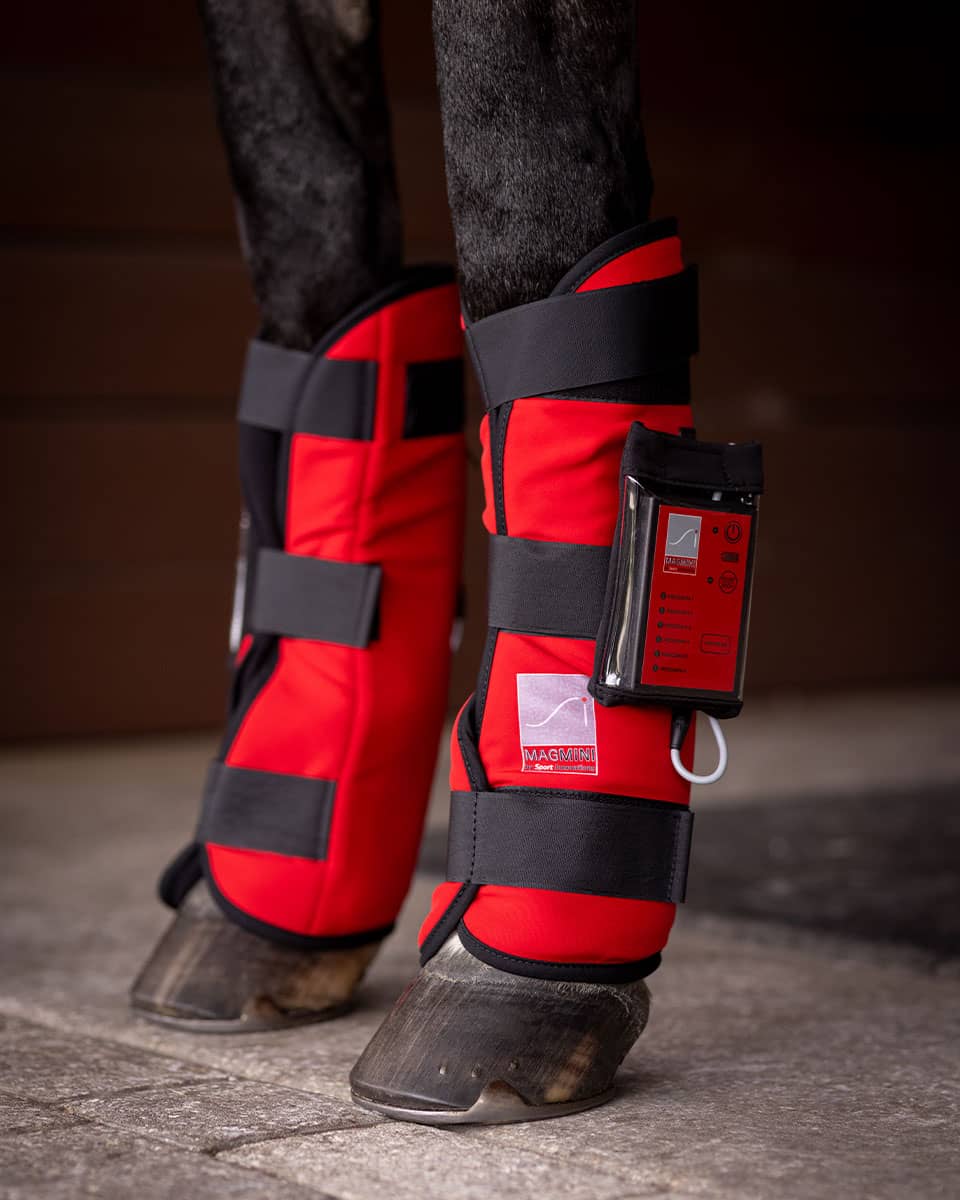 Sport Innovations MagMini Leg Wraps for Equine PEMF Therapy