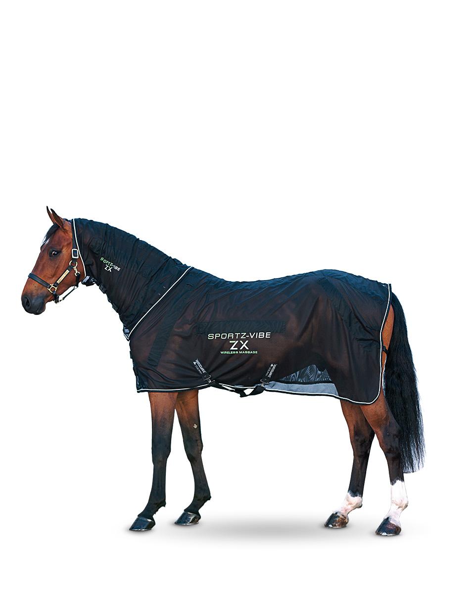 Sportz Vibe ZX Horse