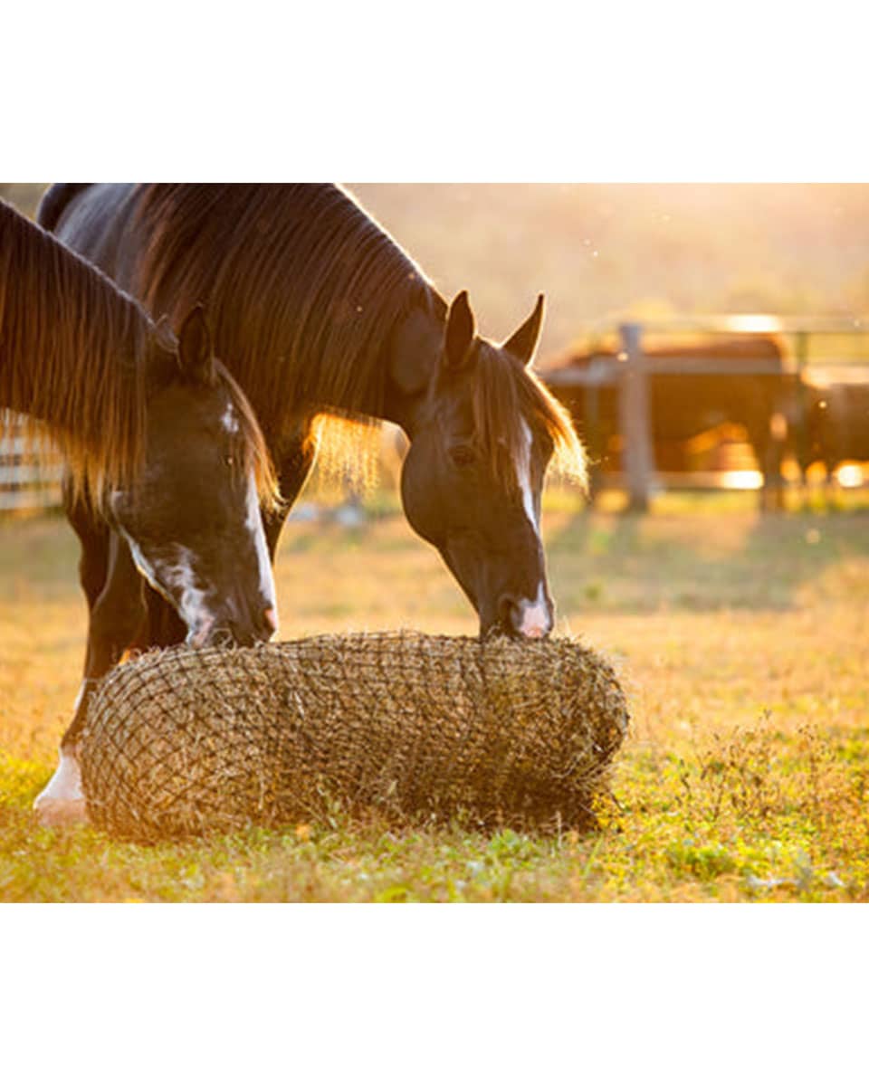 Texas Haynet Square Bale Net