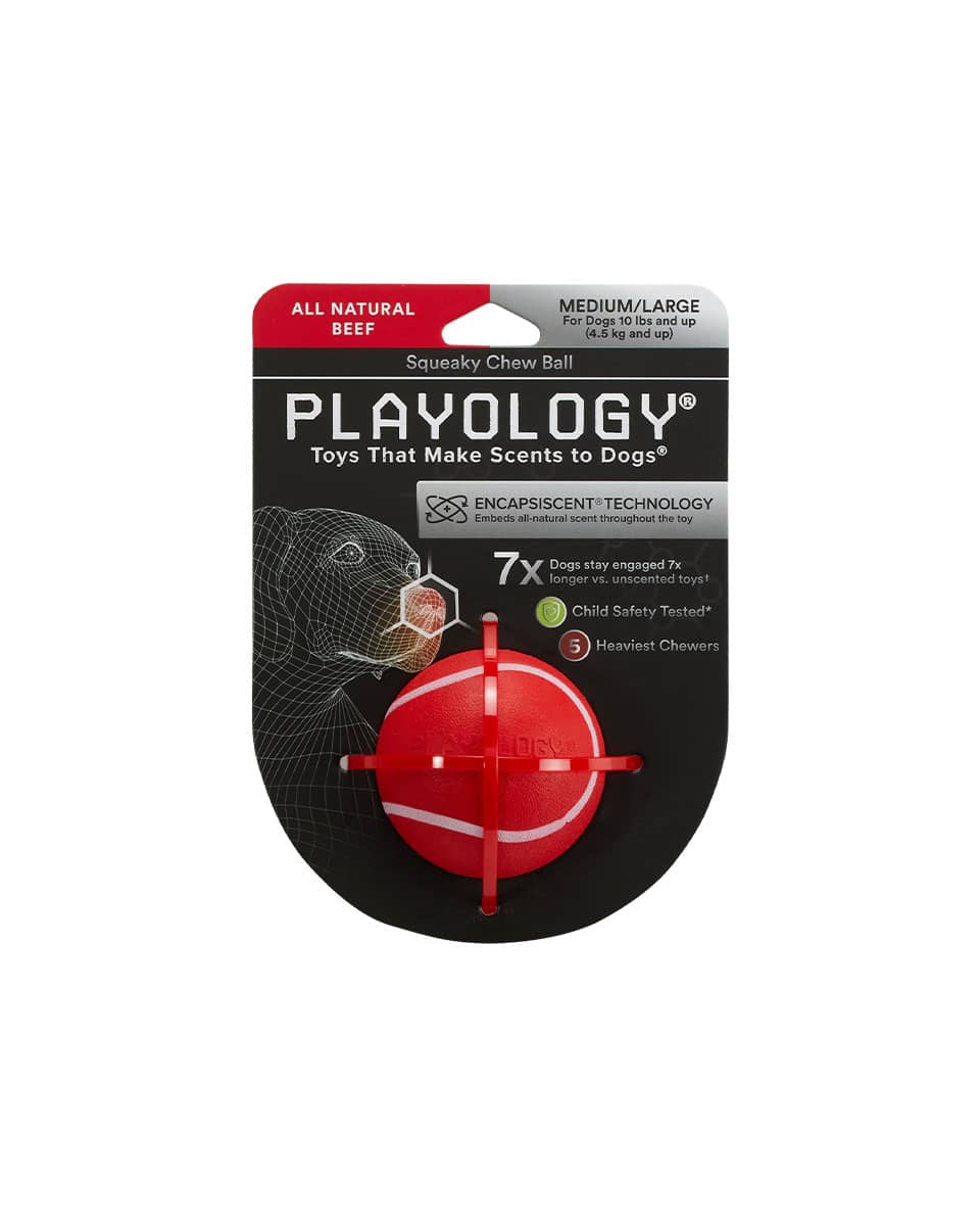 Playology Squeaky Chew Ball dog toy
