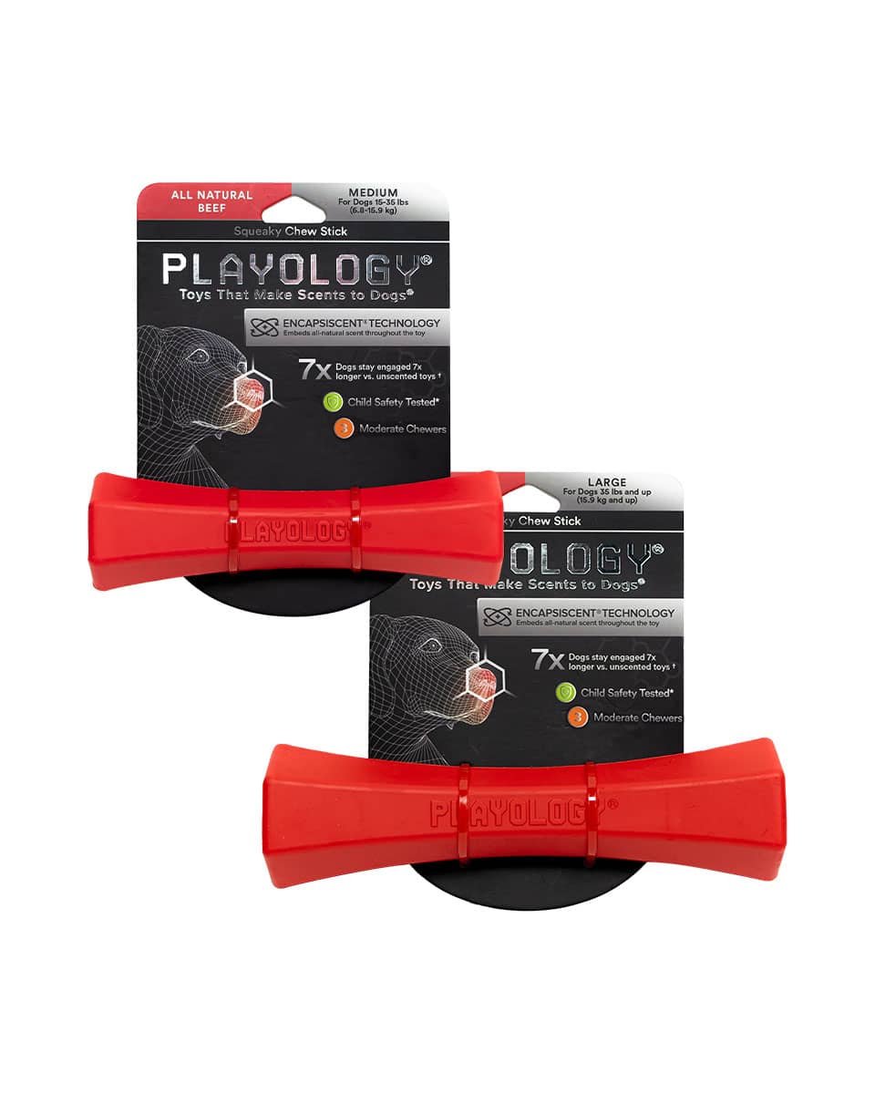 Playology Squeaky Chew Stick dog toy