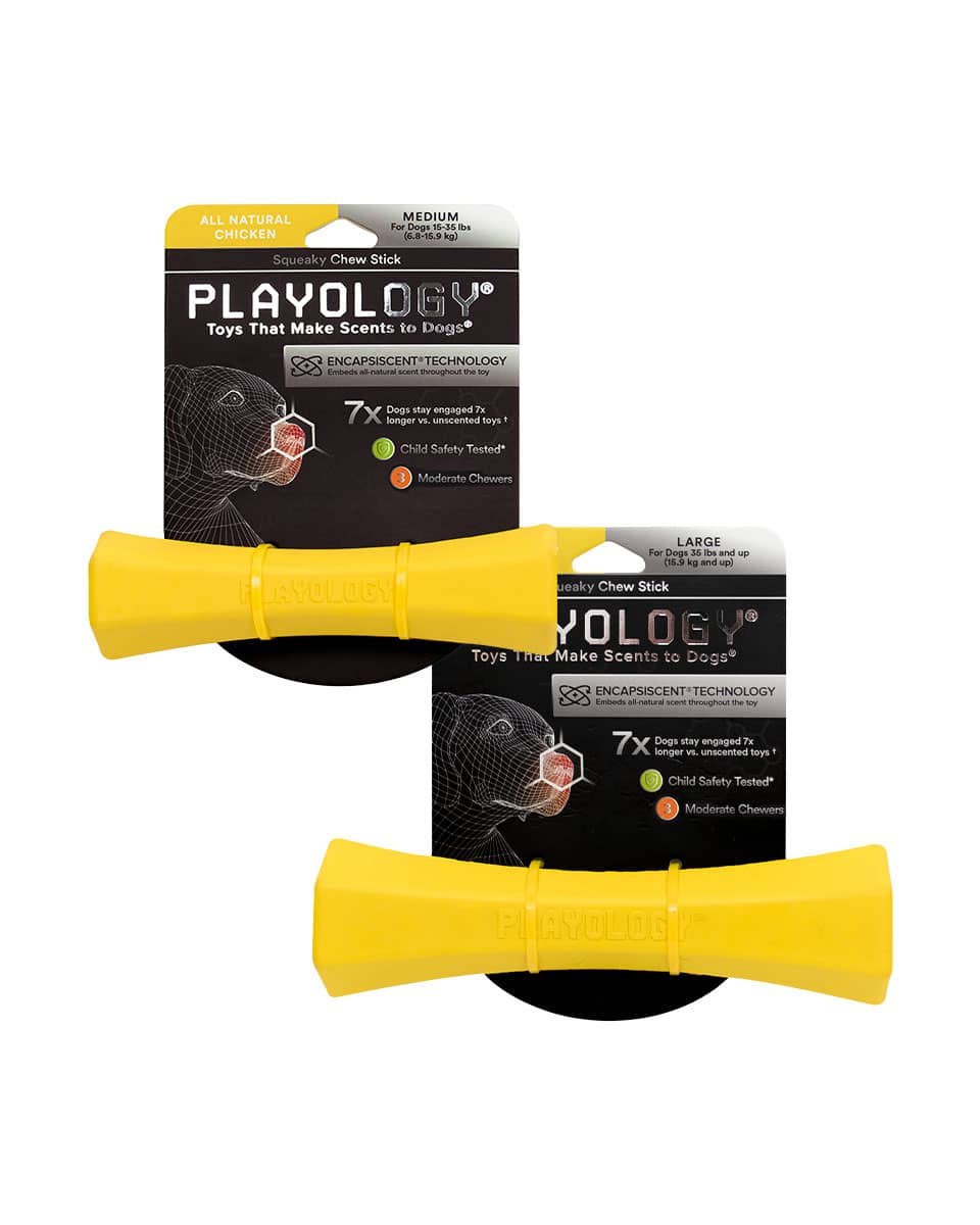 Playology Squeaky Chew Stick dog toy