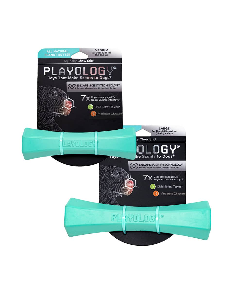 Playology Squeaky Chew Stick dog toy