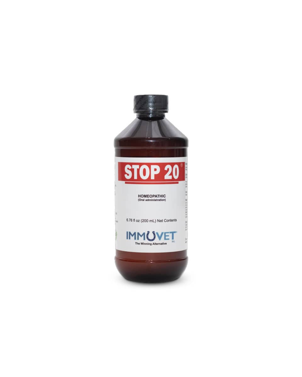 Stop 20 for Horses