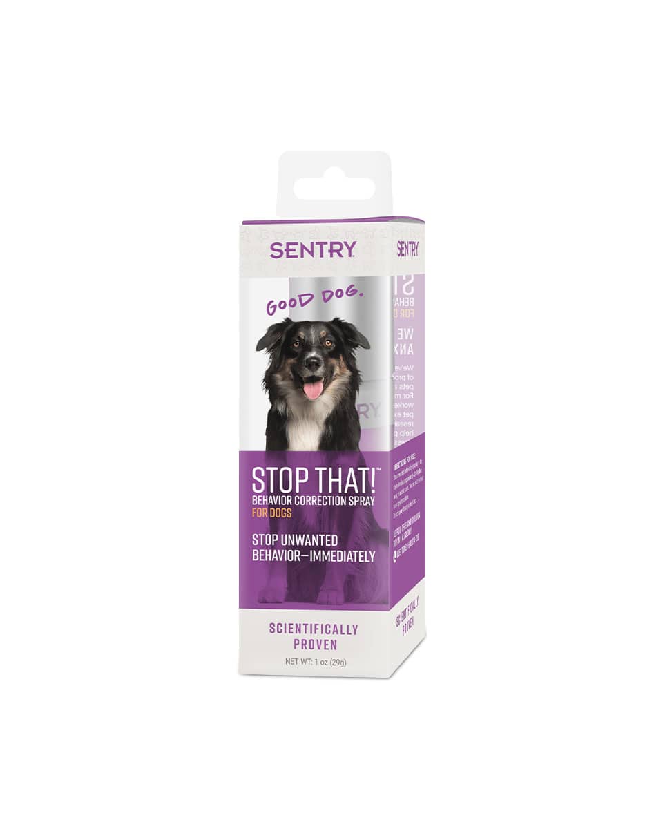 Pheromone spray for clearance dogs
