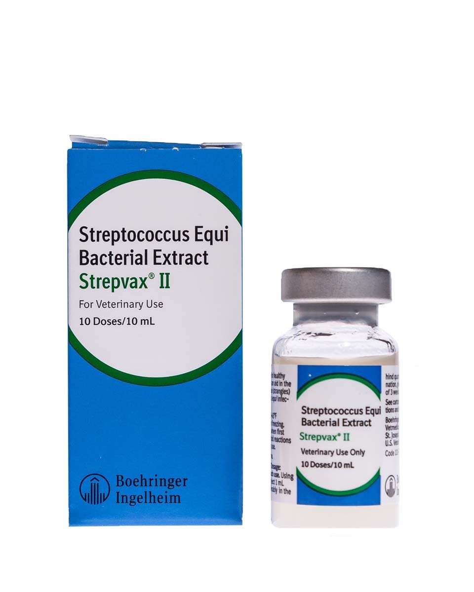 StrepVax