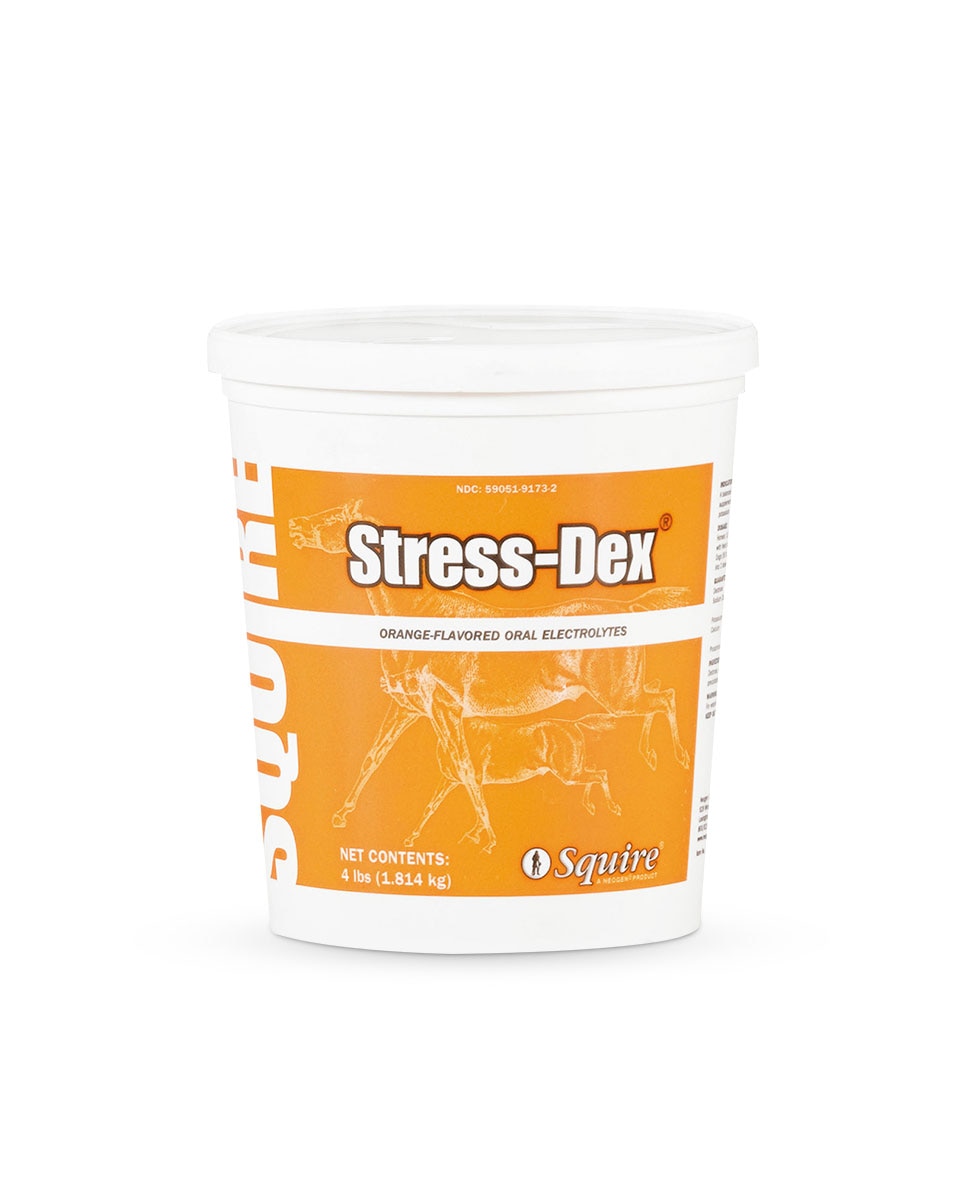 Stress-Dex electrolyte powder