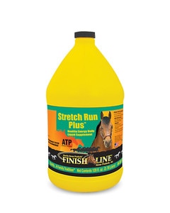 Stretch Run Plus
