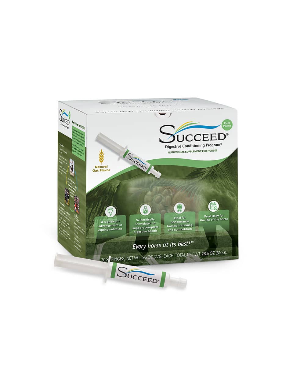 Succeed Paste - daily equine digestive supplement