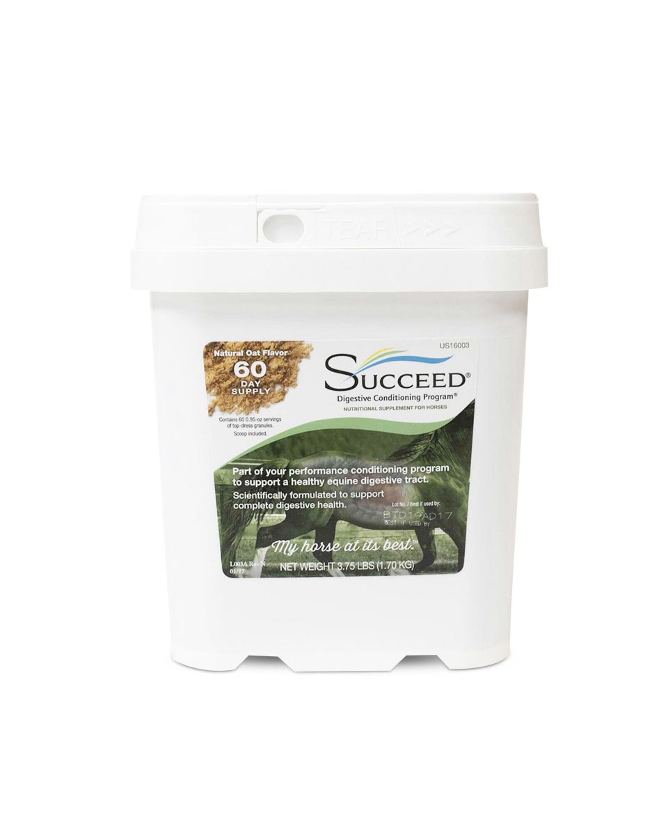 succeed horse supplement