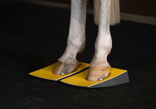 How Sure Foot Pads Support Equine Therapy & Rehab