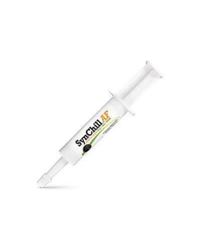 SynNutra SynChill AF calming Paste for horses