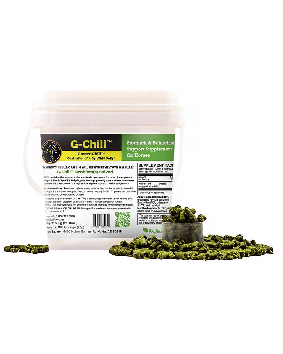 SynNutra GastroChill (G-Chill) Supplement for Horses