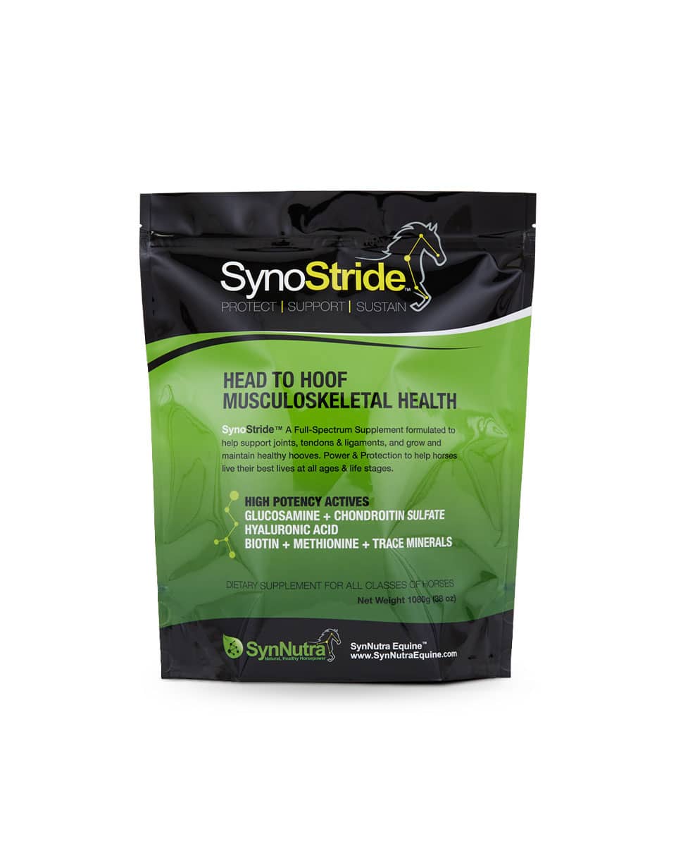 SynNutra SynoStride all-in-one feed supplement for horses