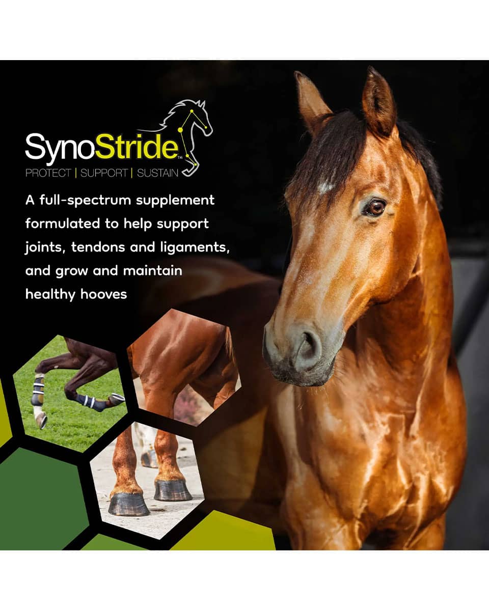 SynNutra SynoStride all-in-one feed supplement for horses