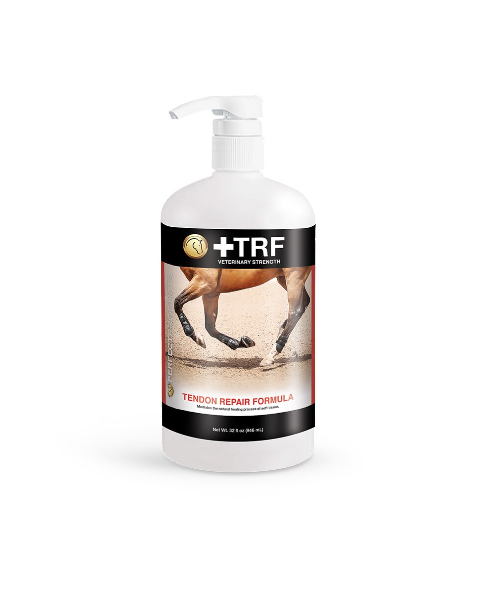 TRF Tendon Repair Formula for Horses