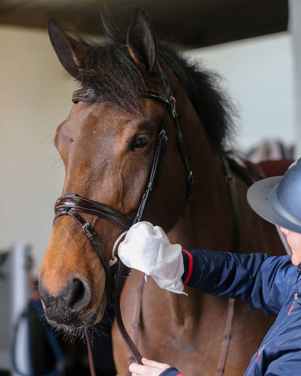 Belvoir Tack Cleaner Mitts