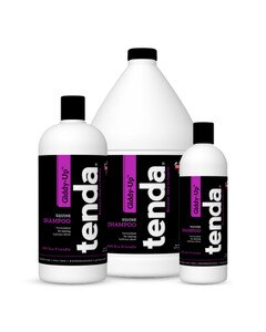 Tenda Giddy Up Concentrated Shampoo