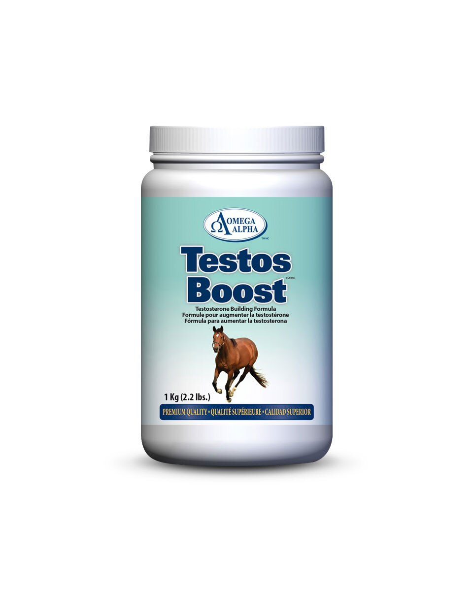 Horse Testosterone Supplements