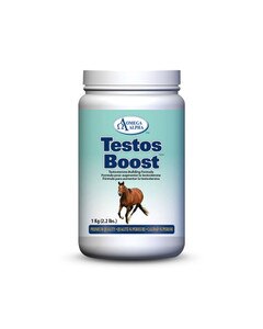 Horse Testosterone Supplements