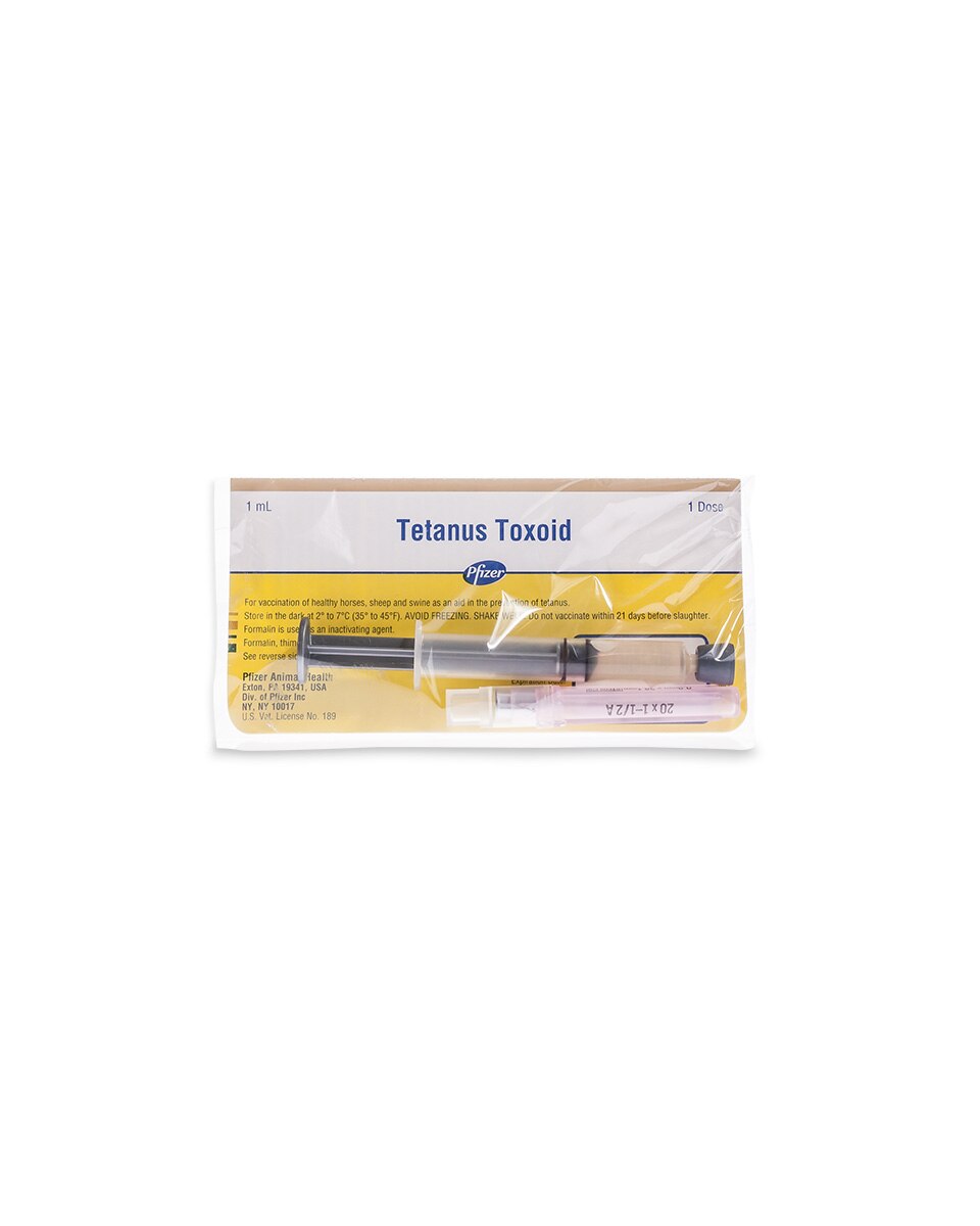 Tetanus Toxoid