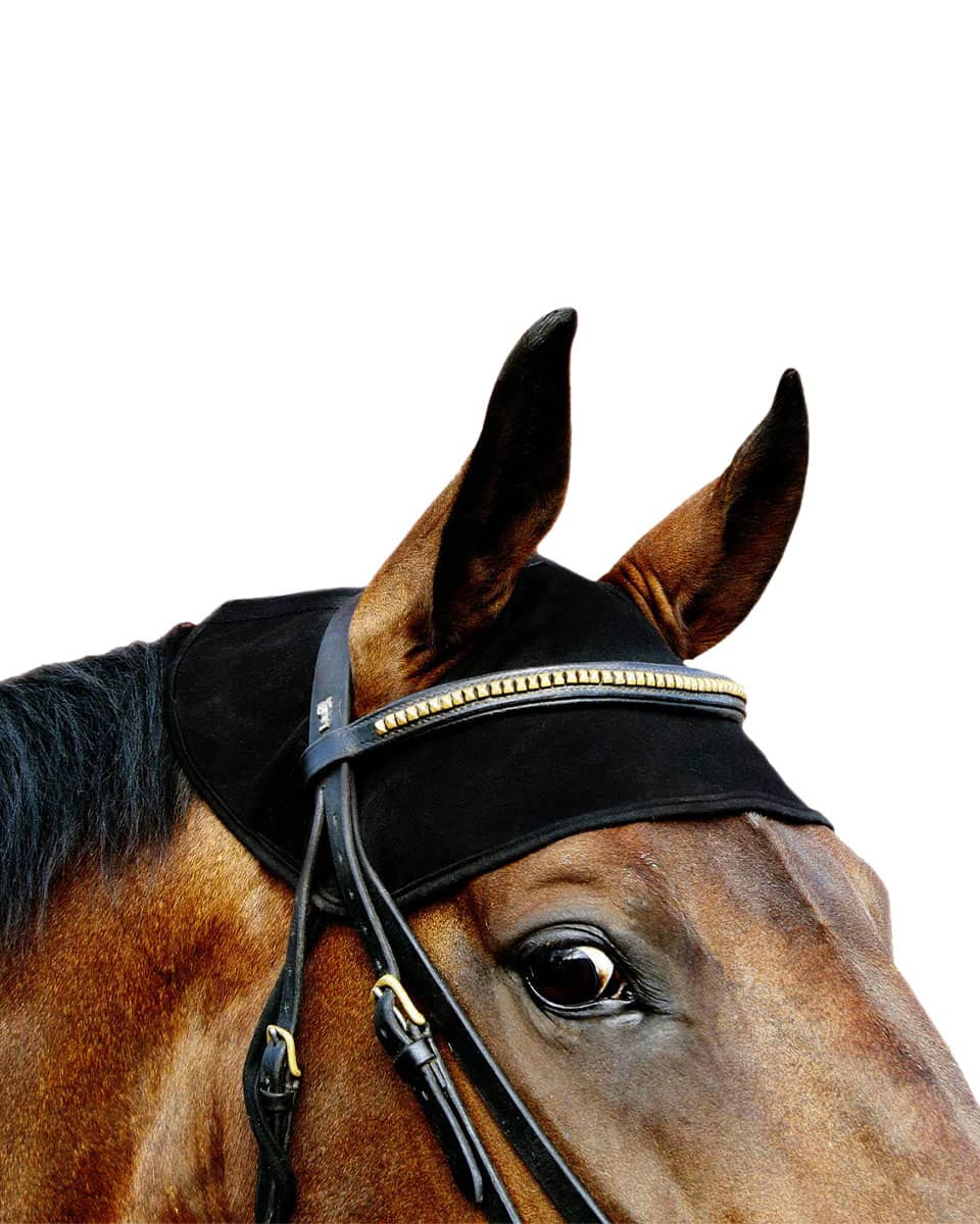 Back On Track Equine Therapeutic Head Cap