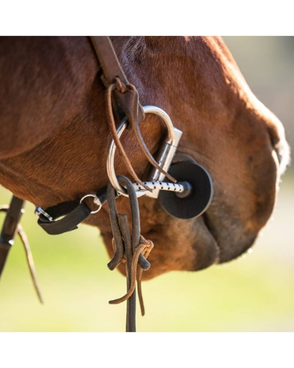 ThinLine Busy Buddy relaxation tool for horses