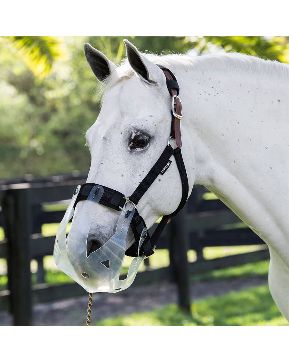 ThinLine Flexible Filly Grazing Muzzle