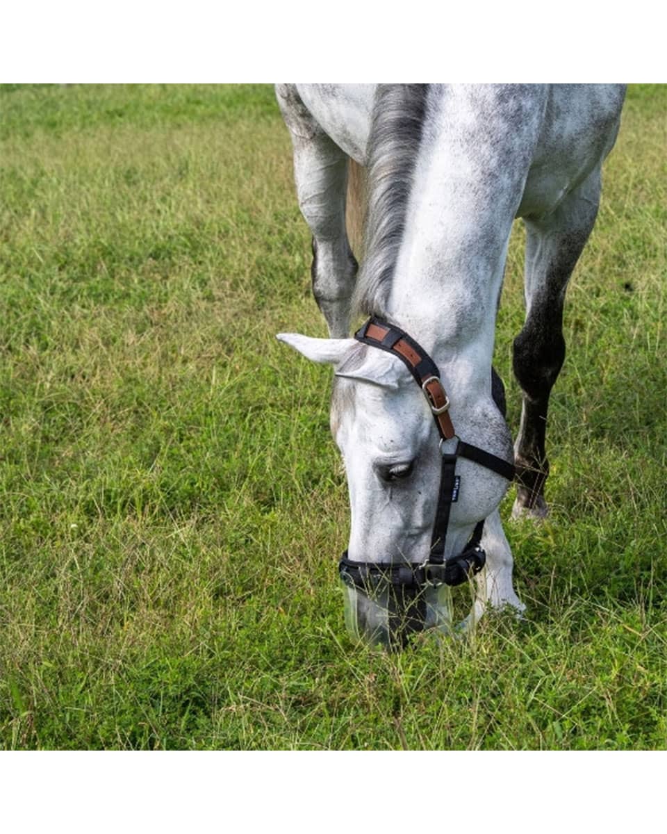 ThinLine Flexible Filly Grazing Muzzle