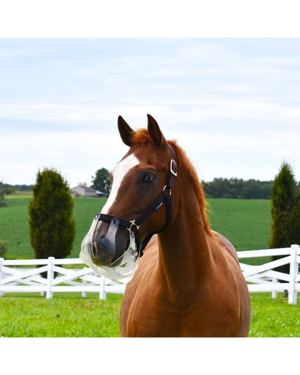 ThinLine Flexible Filly Grazing Muzzle