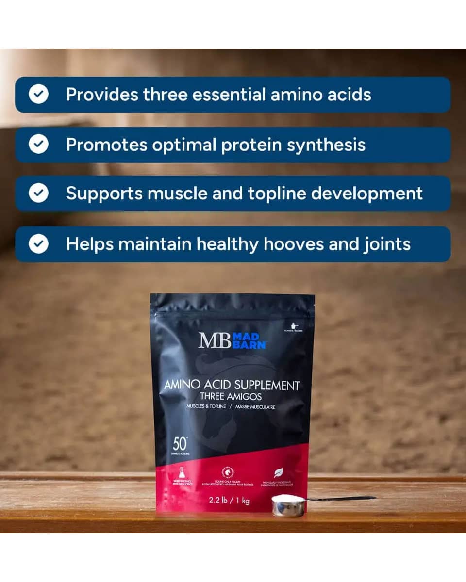 Mad Barn Three Amigos amino acid supplement for horses