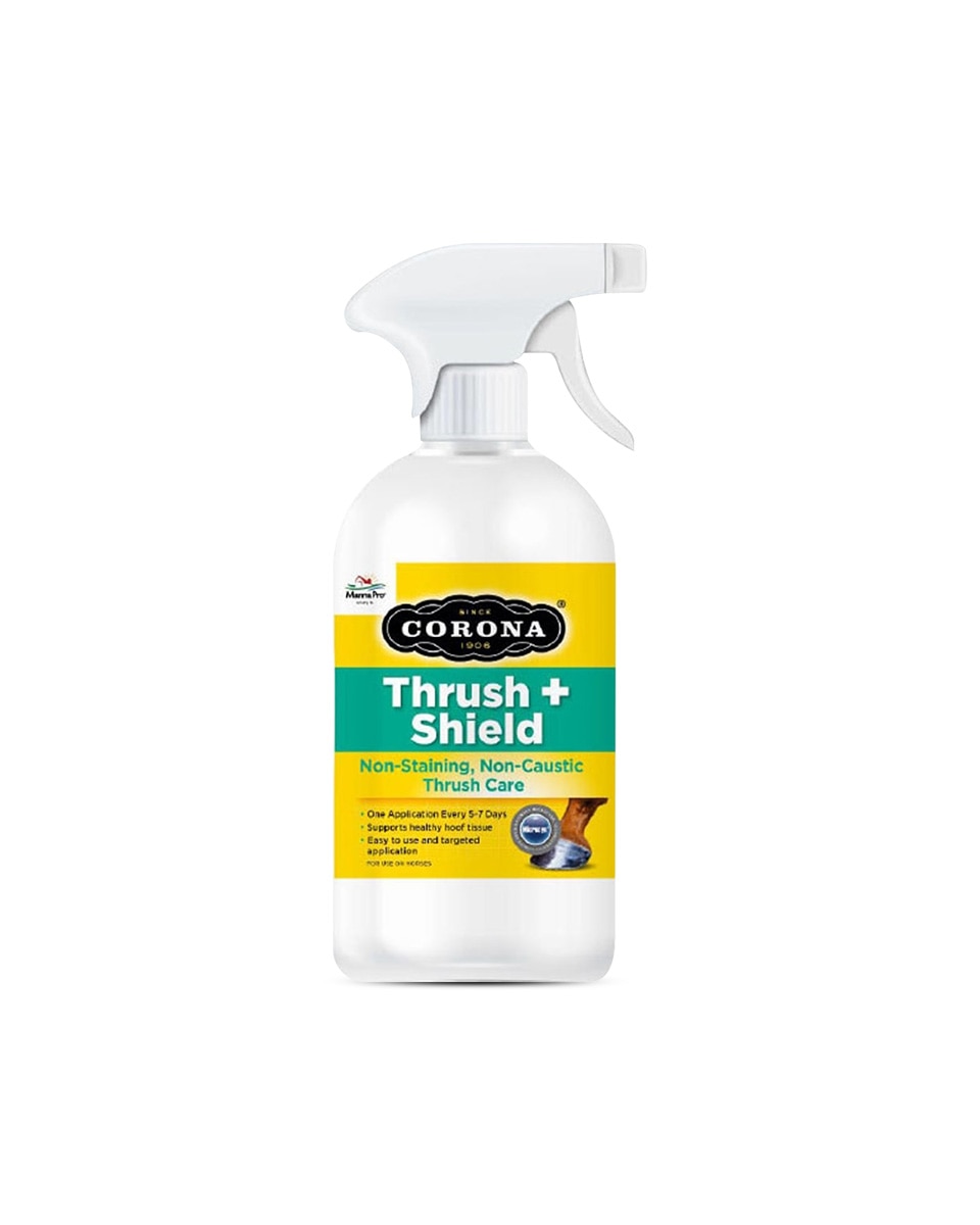 Corona Thrush & Shield Spray