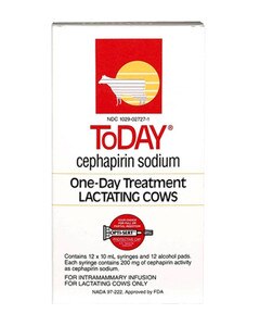 Today Mastitis