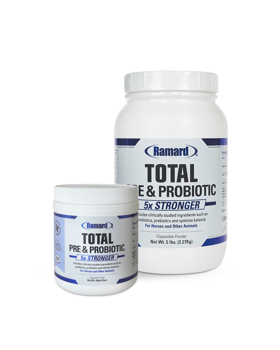 Total Pre & Probiotic horse digestive supplement from Ramard