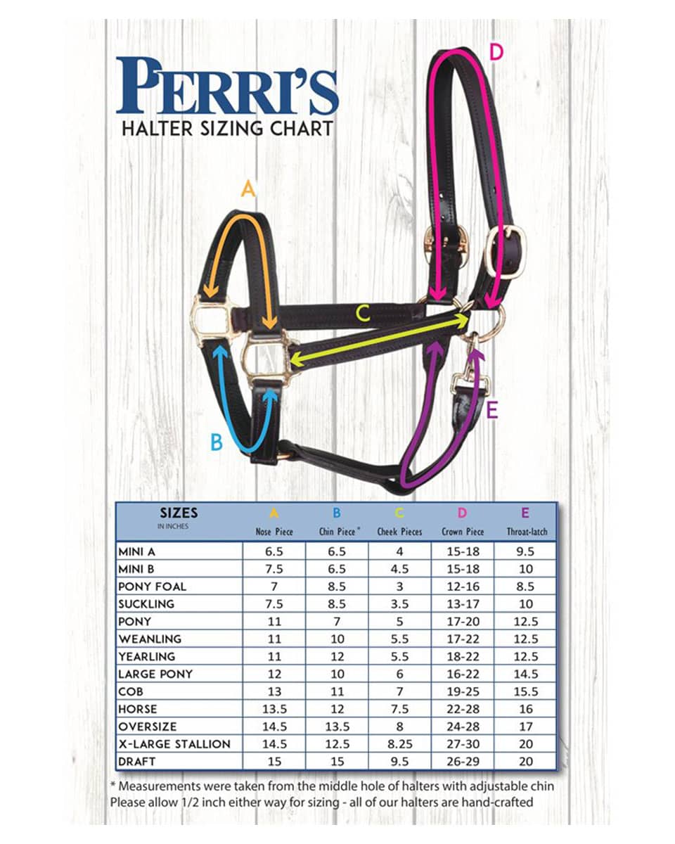 Perri's Leather Track Style Halter with Snap size chart