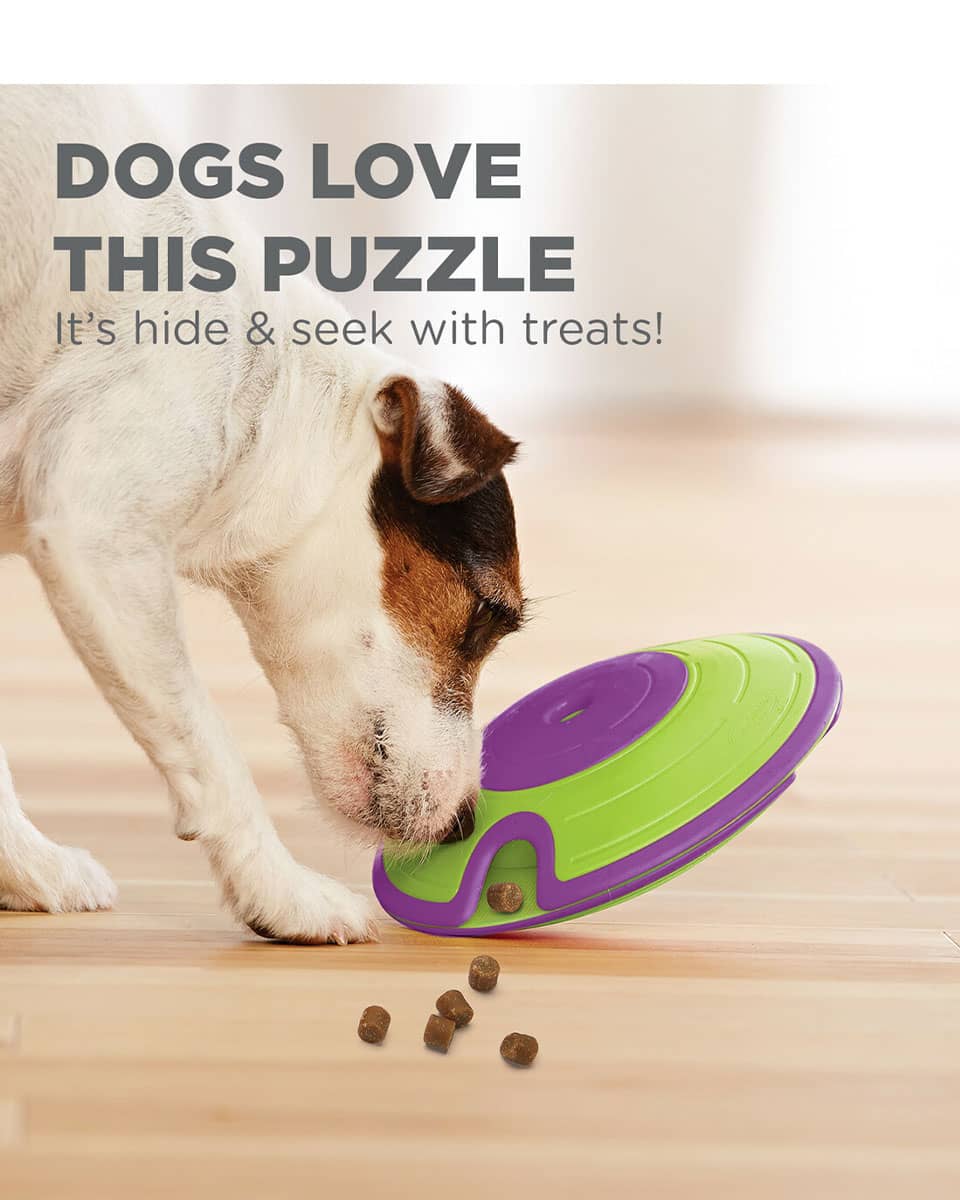 Outward Hound Nina Ottosson Treat Maze Puzzle Dog Toy