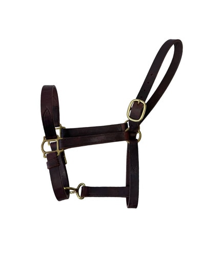 Horse Cents One Buckle Leather Turnout Halter with Buckle Chin