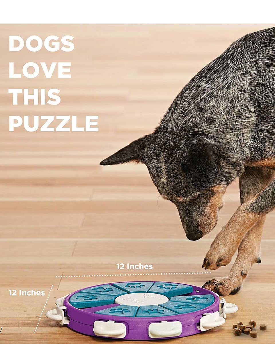 Twister Interactive Puzzle Dog Toy from Nina Ottosson