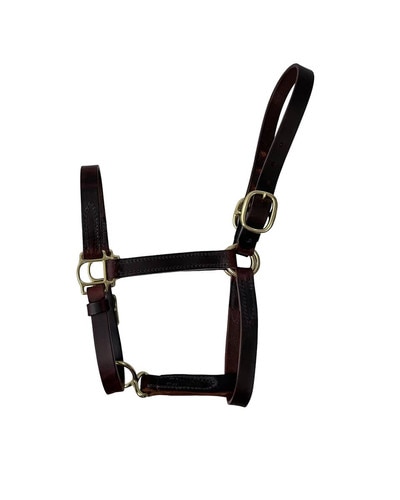 Horse Cents Two Buckle Leather Turnout Halter with Buckle Chin