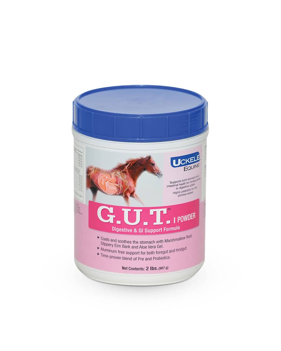 Uckele Gut Powder supplement for horses