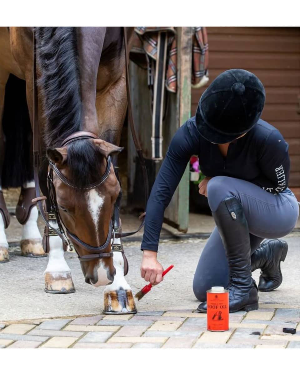 Vanner & Prest Hoof Oil from Carr & Day & Martin