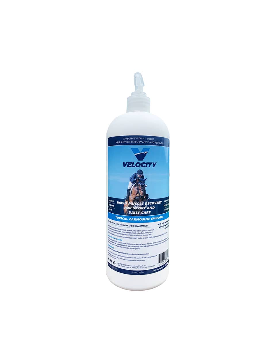 Velocity Equine Carnosine Emulgel