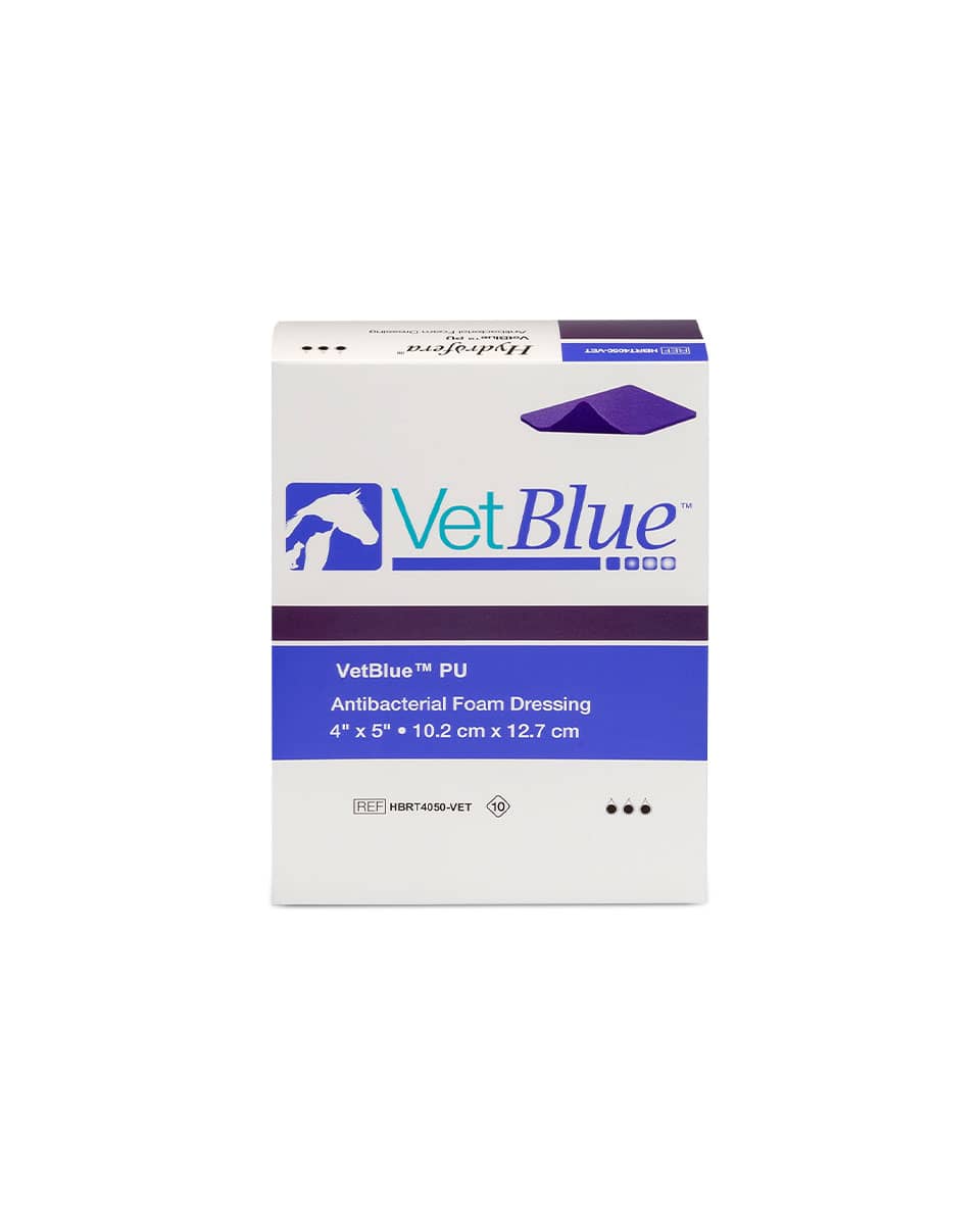 VetBlue Foam Wound Dressing media 2